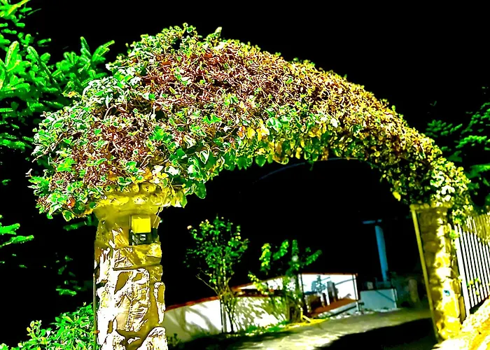 Casa Vacanza Paola Aurigo
