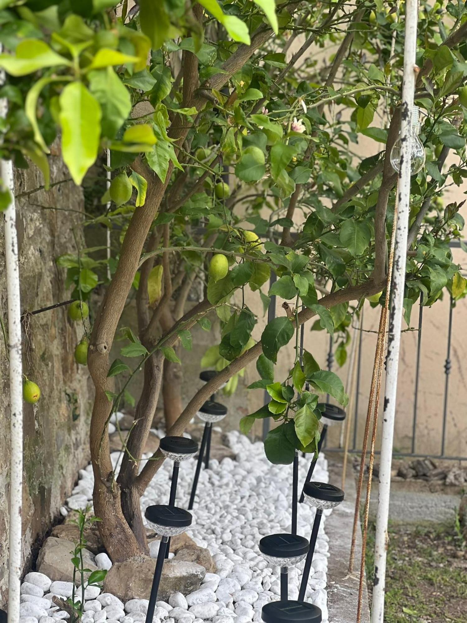 Casa Paola * Aurigo